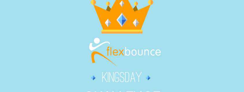 Flexbounce Koningsdag