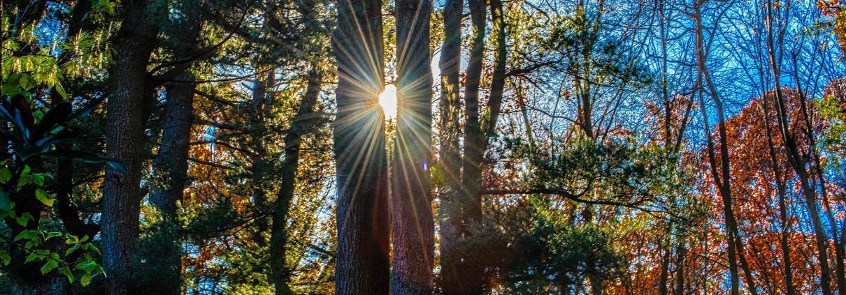 trampolinespringen bij depressie