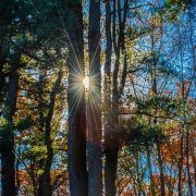 trampolinespringen bij depressie