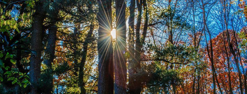 trampolinespringen bij depressie